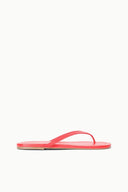 FREJA THONG | RED ROSE RED ROSE / 35