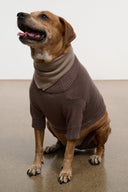 Dog knit sweater in brown with V-neck collar and ribbed cuffs