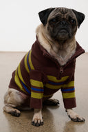 Brown knit pet sweater with multicolor stripes and zip neck, worn by dog.