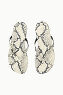 WHITE SNAKE