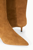 TAN