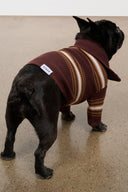 Dark dog in maroon-and-tan striped knit sweater with high neck and sleeves